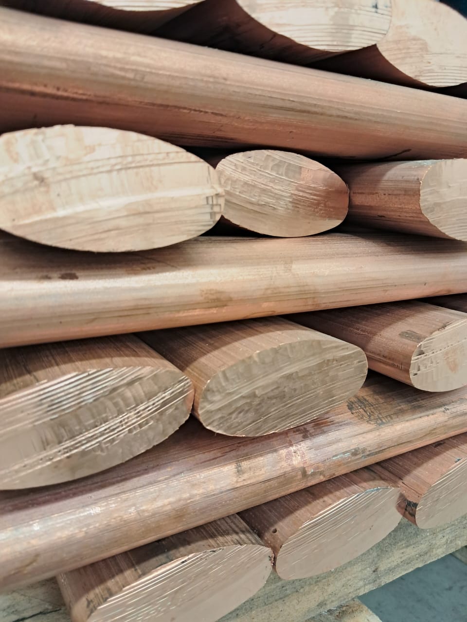 Imagem do WhatsApp de 2024-08-19 à(s) 15.17.16_40db6d2c.jpg